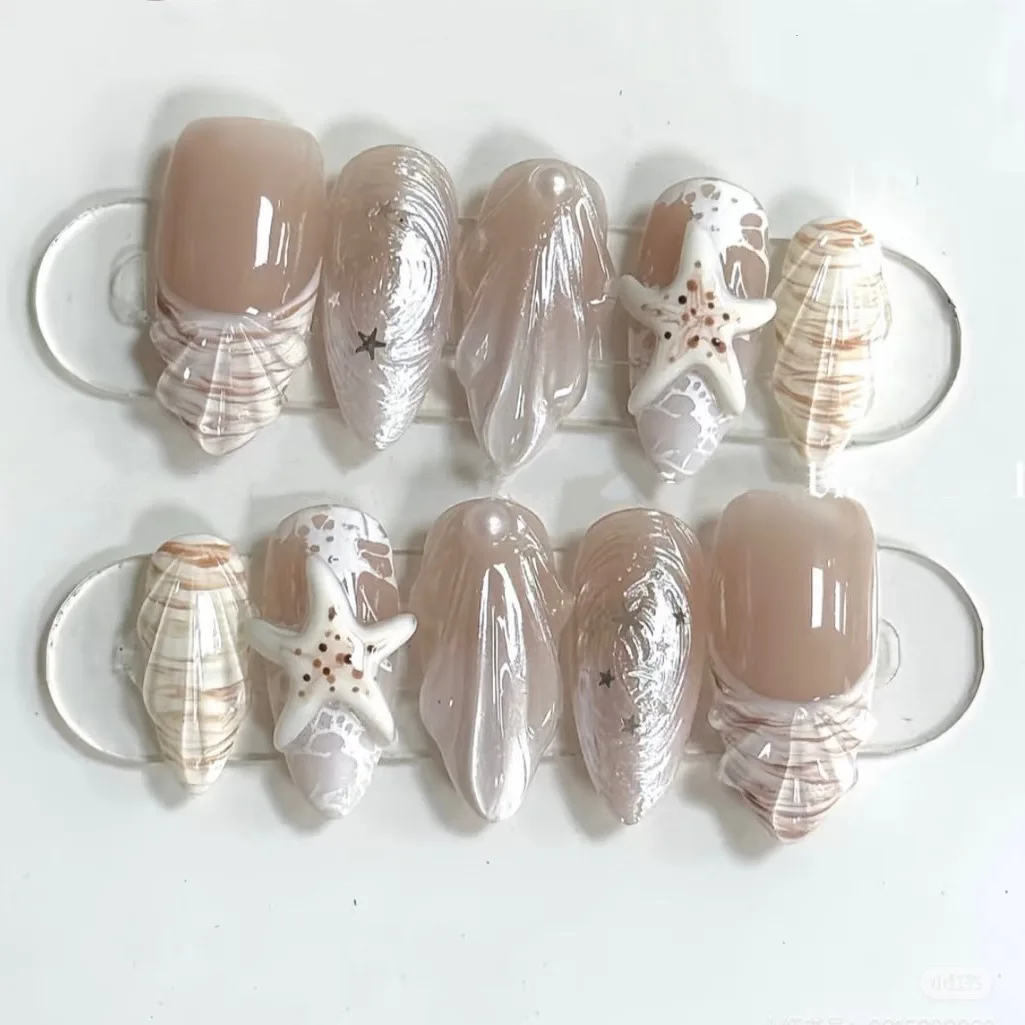 White Seashell - Image 2